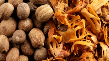Nutmeg and Mace